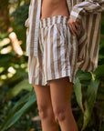 Aerie Good Day Brown Striped Short