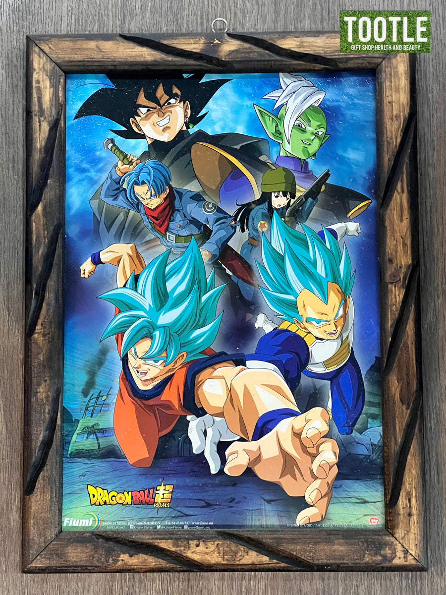 Dragonball Framed Poster Fiumi 11 x 16 in