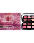 MAC Connect in Colour Eyeshadow Palette Rose Lens