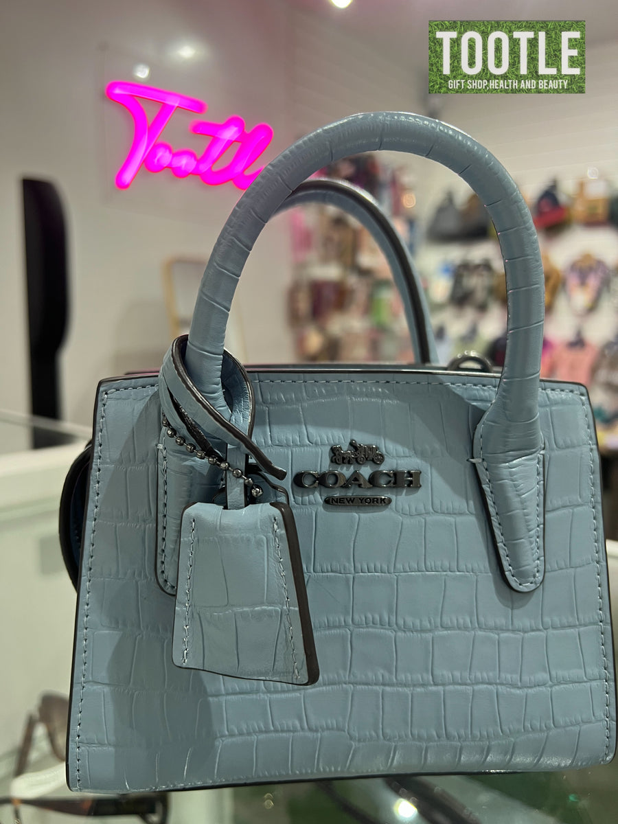 Coach Andrea Mini Carryall in Blue